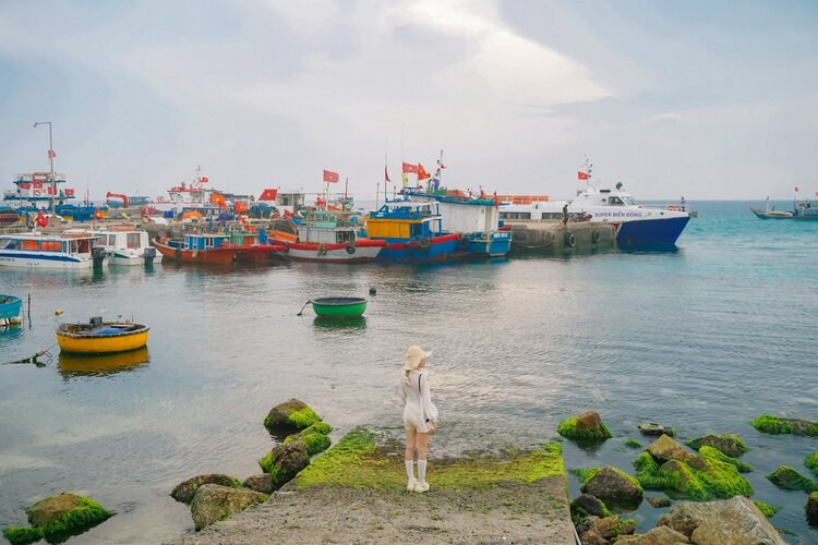 Giá Vé Tàu Sa Kỳ - Lý Sơn 